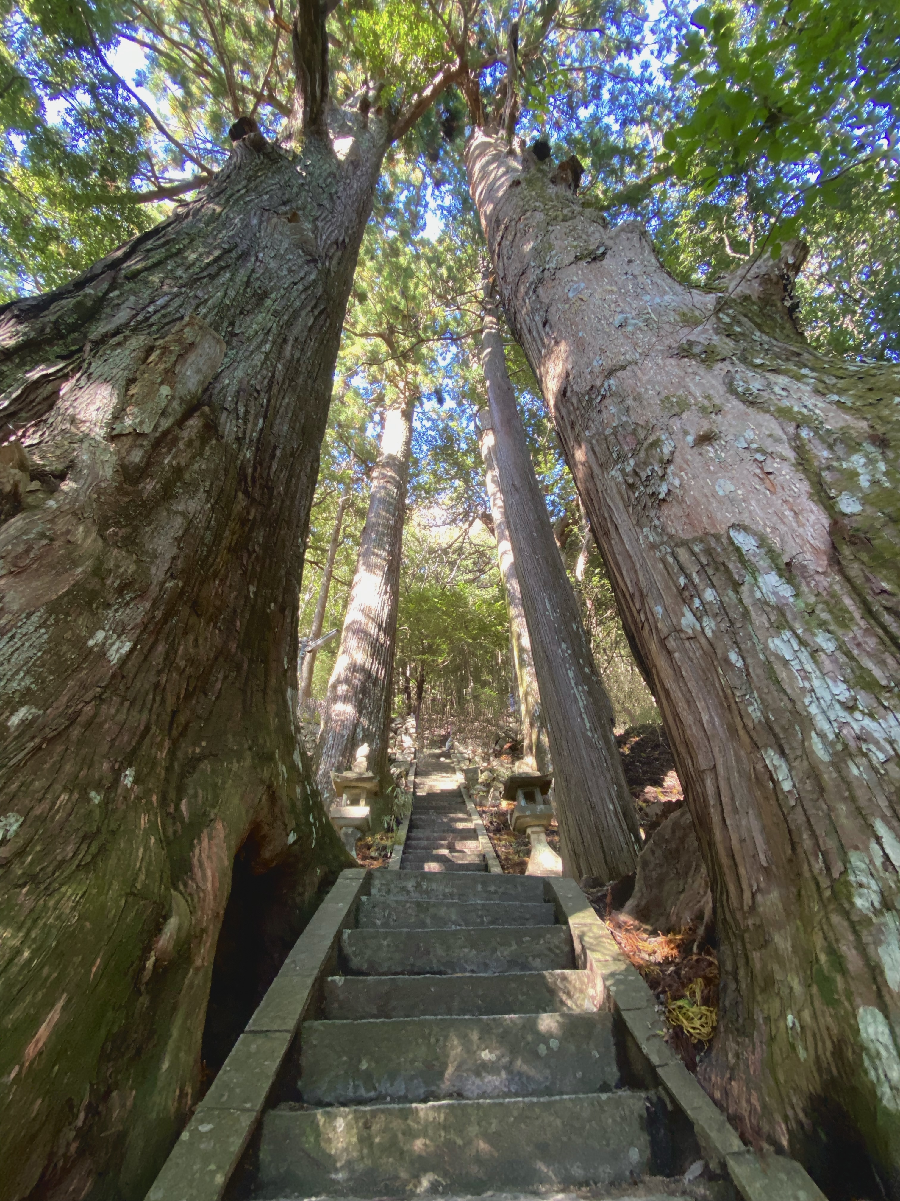 Kumano Kodo