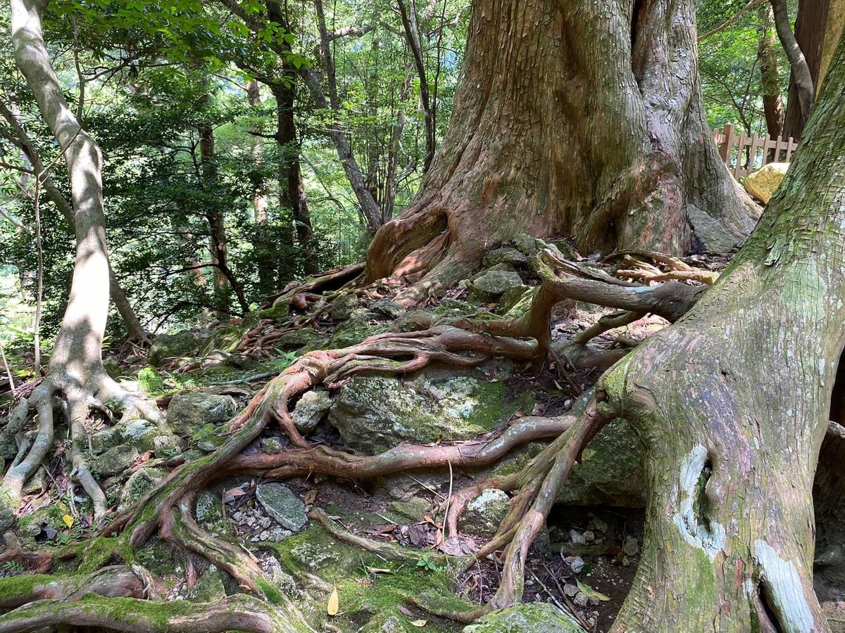 Kumano Kodo